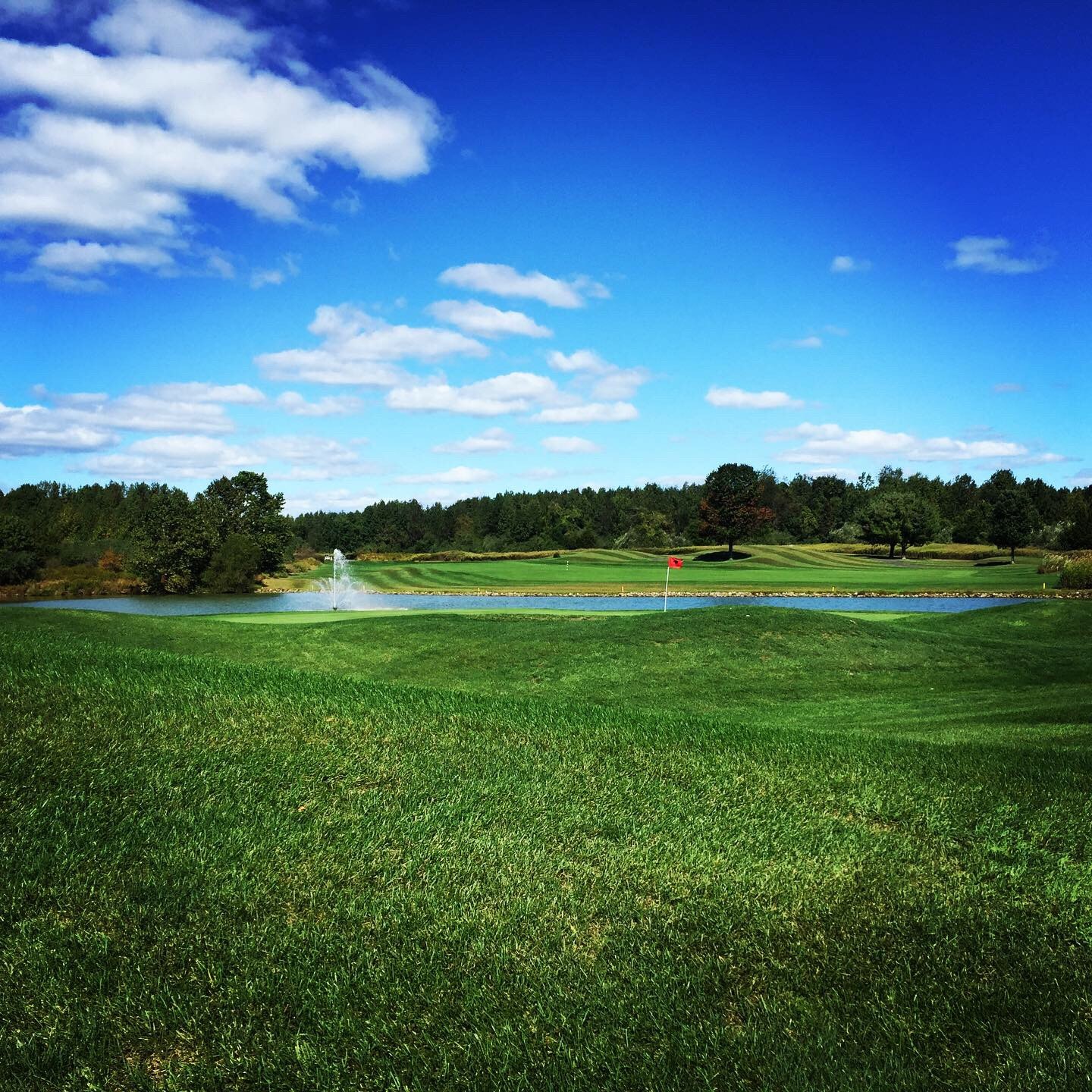 Mercer Oaks Golf Course